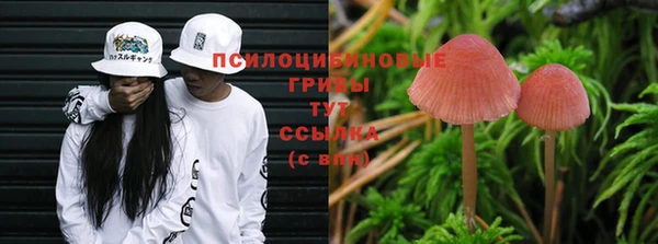 бутират Алзамай
