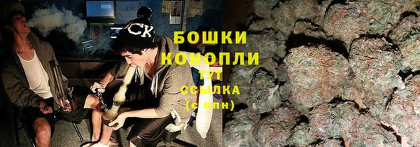 шишки Надым