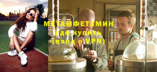 шишки Надым