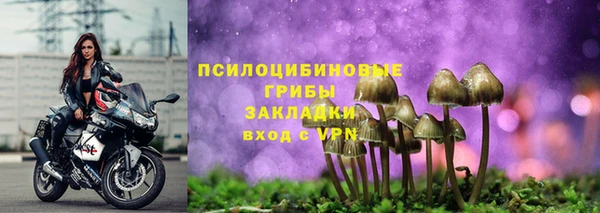 бутират Алзамай