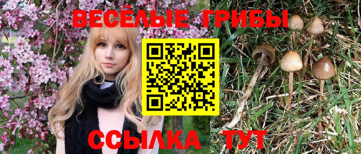 Галлюциногенные грибы Cubensis  Вход с VPN  Первоуральск 